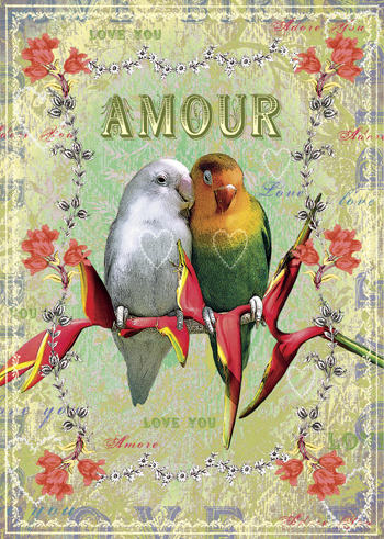 Amour Budgies Greeting Card - Click Image to Close